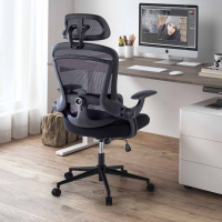 Optima ergonomic office...