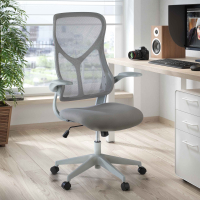 Raptor desk chair, foldable arms, ergonomic backrest