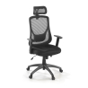 Lake office chair, adjustable arms, headrest, mesh