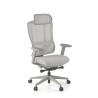 AeroMax Ergonomic Office Chair with Dual Lumbar Support