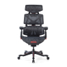 BloodDragon Ergonomic Gaming Chair