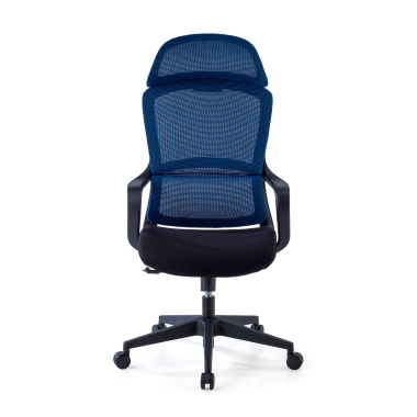 Lumbar Cushion