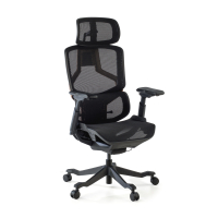 AeroMax Ergonomic Office...