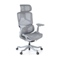 AeroMax Ergonomic Office...