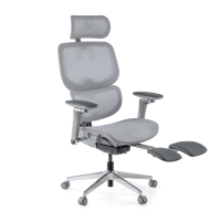 Ergonomic Office Chair...