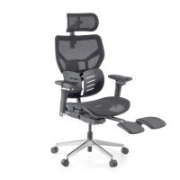 Ergonomic Chair Erghos X3,...