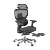 Premium Ergonomic Office...