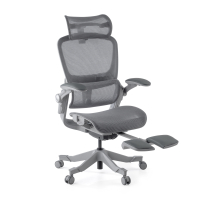 Ergonomic Chair with...