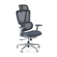 Essenza Ergonomic Chair, 3D...