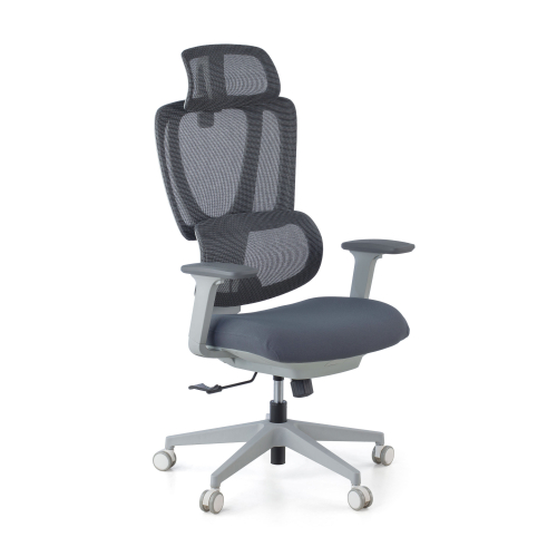 Essenza Ergonomic Chair, 3D Arms, adjustable lumbar support