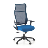 Ergonomic Chair Stay...
