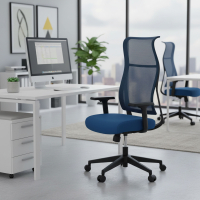 Ergonomic Chair Stay...