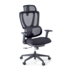 Essenza Ergonomic Chair, 3D Arms, adjustable lumbar support