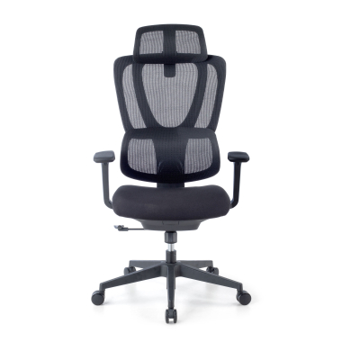 ergonomic chair black essenza mesh 3d adjustable armrests double lumbar support headrest 3