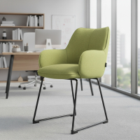 Conference chair Nora, sled base, steel frame
