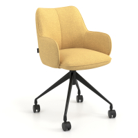 Meeting chair with castors...