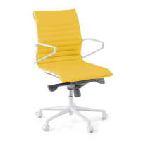 White/Yellow