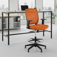 Office Stool with Arms Lady