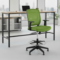Office Stool with Arms Lady