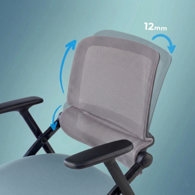 Ergonomic Backrest
