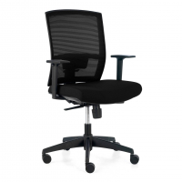 Akira ergonomic office...