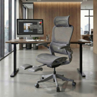 Ergonomic Chair with...