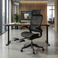 Ergonomic Chair with Headrest Erghos X1, certified
