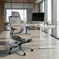 Ergonomic Office Chair with...
