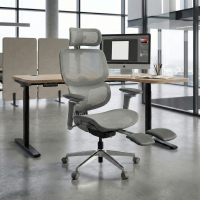 Ergonomic Office Chair...