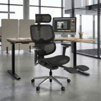 Ergonomic Office Chair...