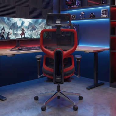 Completely Adjustable