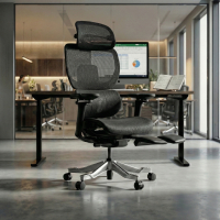 Premium Ergonomic Office...