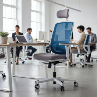 Professional office chair...