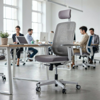 Professional office chair...