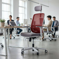 Professional office chair...