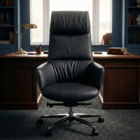 Mozart executive office...