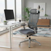 Essenza Ergonomic Chair, 3D...