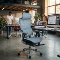 Valkyr Ergonomic Office...