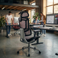 Valkyr Ergonomic Office...
