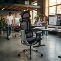 Valkyr Ergonomic Office Chair, self-adjusting backrest
