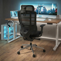 AeroFlow black Ergonomic...