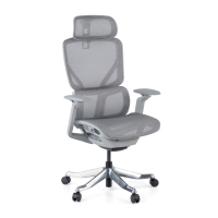 Ergonomic Office Chair...