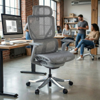 Ergonomic Office Chair...