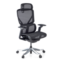 Ergonomic Office Chair...