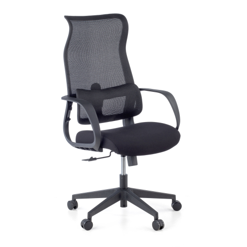 Reclining office chair Axis, adjustable lumbar support, 3 independent zones