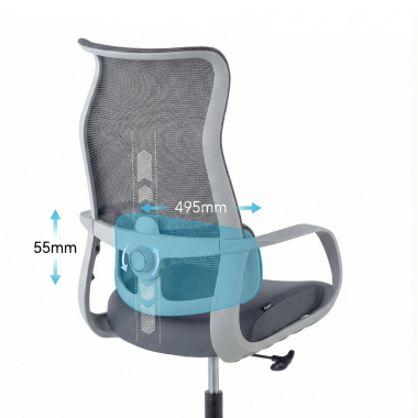 Lumbar Support