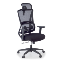 Ergonomic Office Chair with...