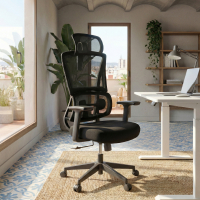 Ergonomic Office Chair with...