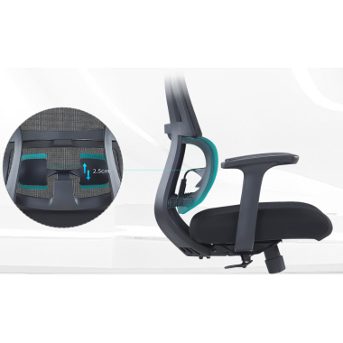 ergonomic chair black without headrest fabric fixed armrests double lumbar support 5