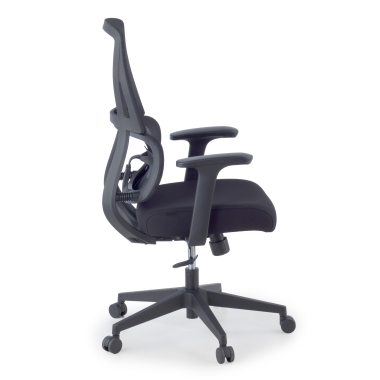 ergonomic chair black without headrest fabric fixed armrests double lumbar support 4